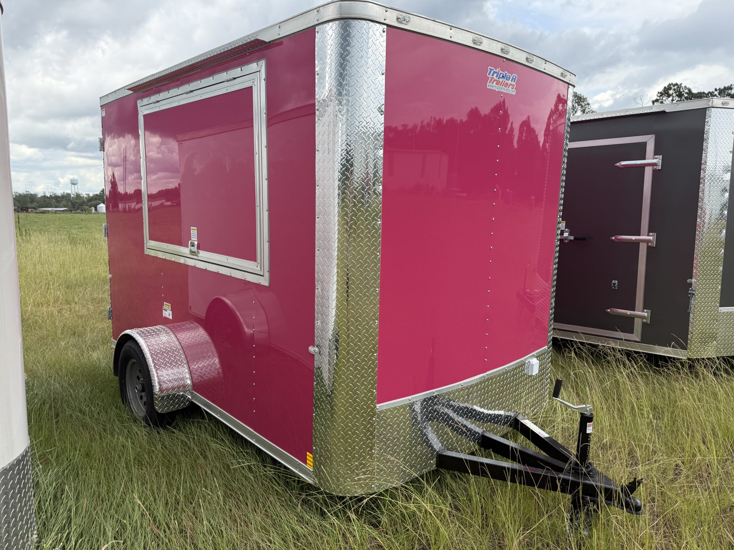 6×10 Single Axle Concession Series – Electrical – Finished Interior – Concession Window with Glass and Screens - Pink